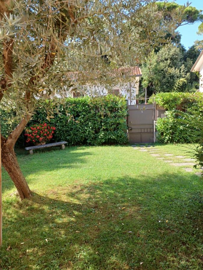 A Casa Di Berta Daire Pietrasanta Dış mekan fotoğraf