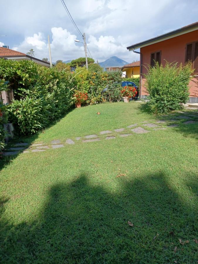 A Casa Di Berta Daire Pietrasanta Dış mekan fotoğraf